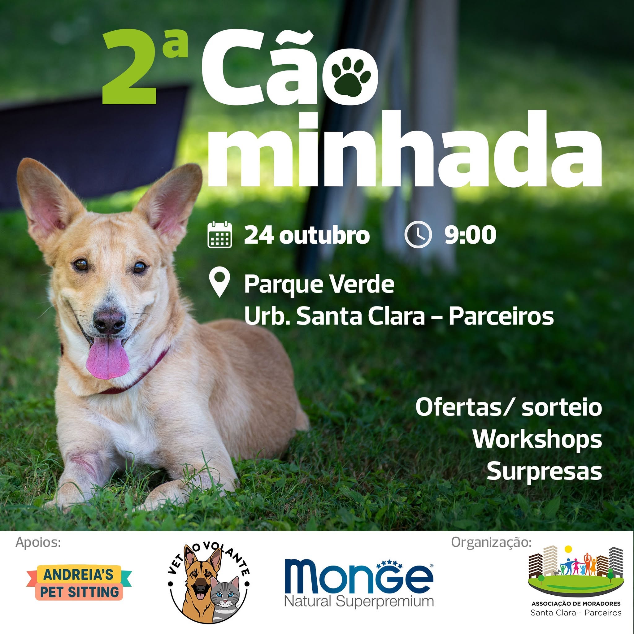 2ª CÃOMINHADA – Urbanização de Santa Clara | Parceiros — event image
